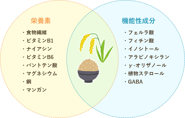 玄米に豊富に含まれる主な成分